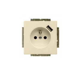 Basic 55 - Розетка 2P+E нем. стд. + USB (сл.кость)