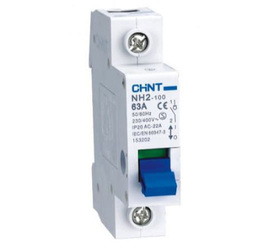 Выключатель нагрузки модульный NH2-125 1P 125А (CHINT)